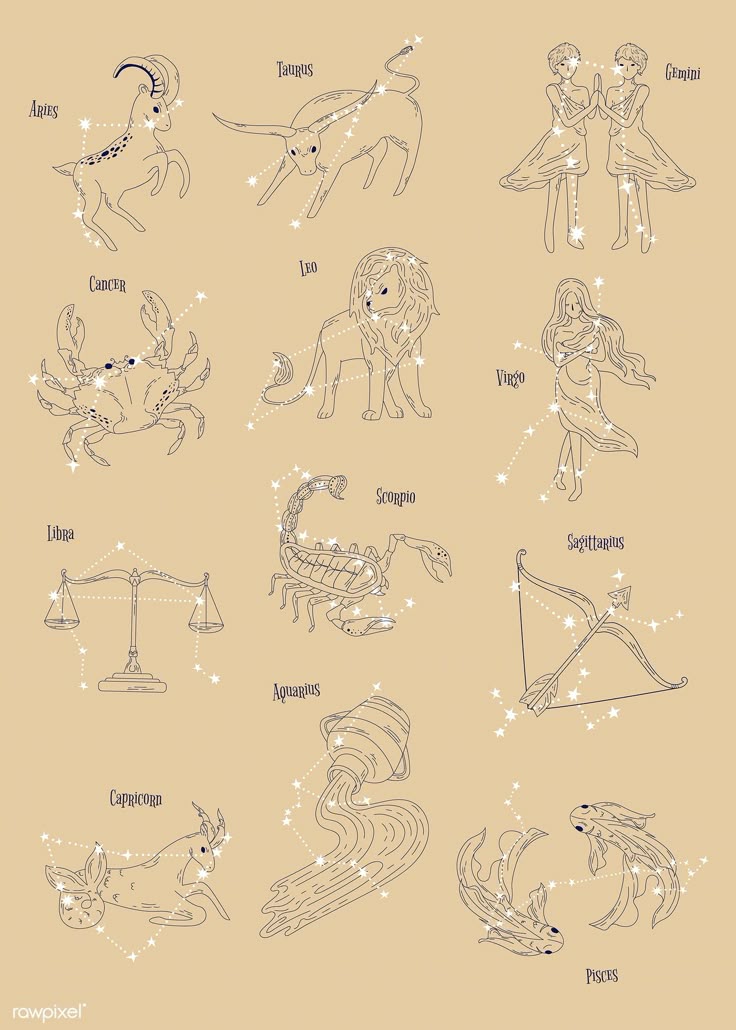 Vedic astrology services